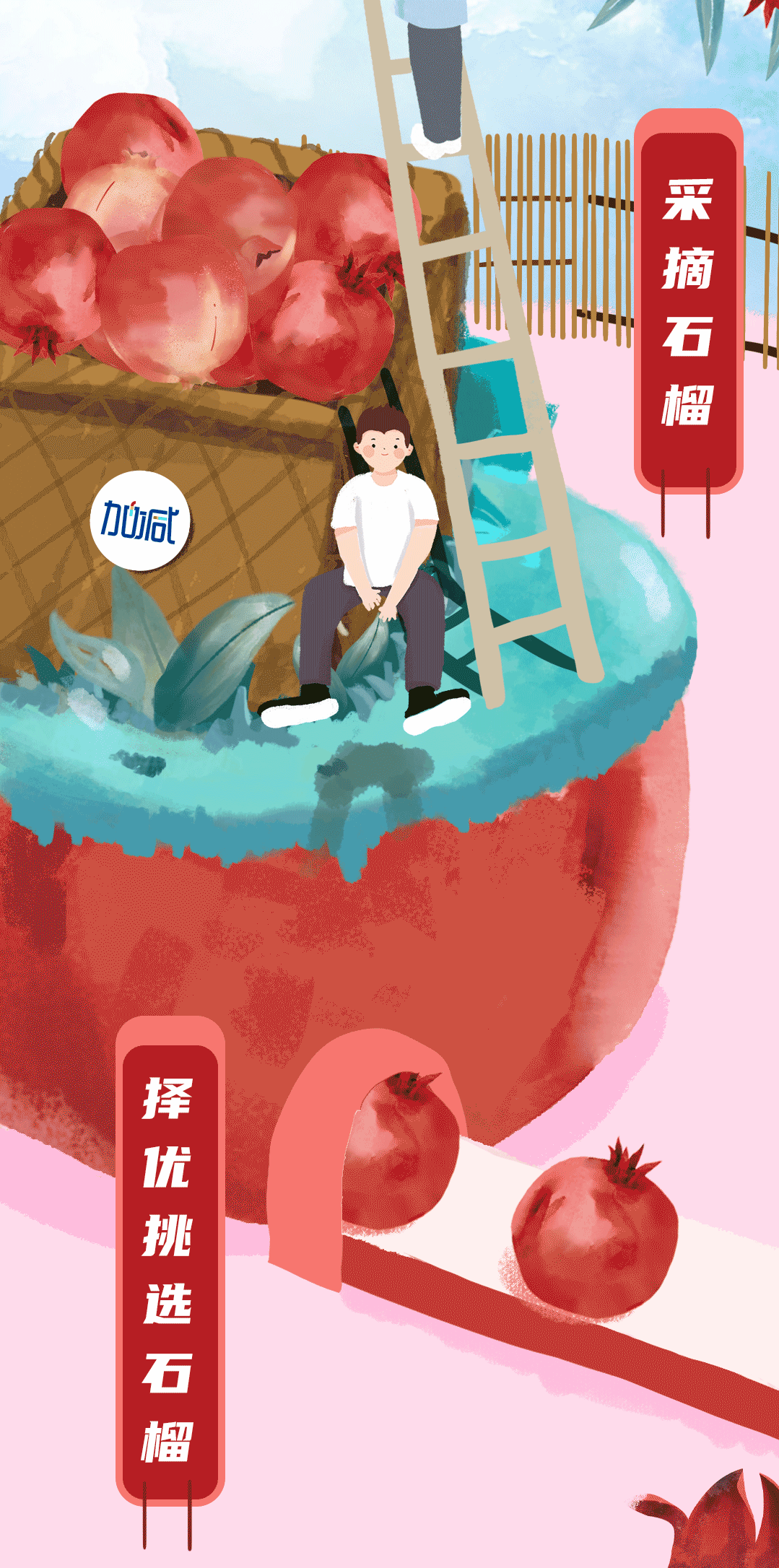 K8凯发集团茶饮石榴新品